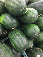 Many big sweet green watermelons