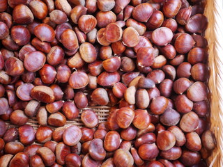 chestnuts