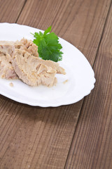 tuna on background
