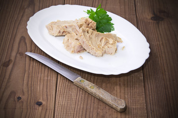 tuna on background