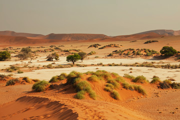 Namib