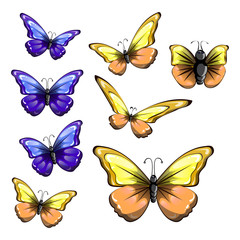 Obraz na płótnie Canvas butterfly 2