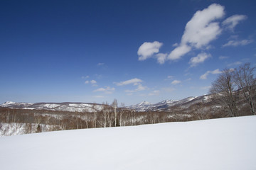 青空と雪