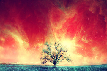 Obraz na płótnie Canvas alien tree background