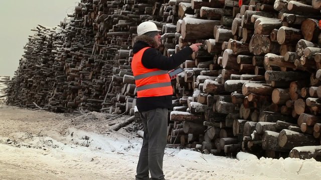 Engineer using tablet PC near to piles of logs in winter