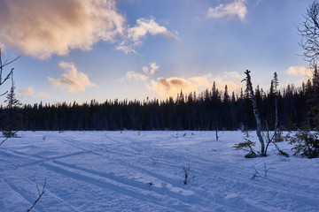 Snowmobile tracks in snow.