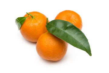 Tre mandarini freschi su fondo bianco
