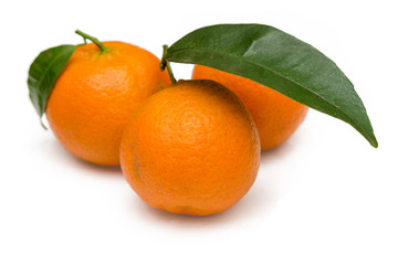 Tre mandarini freschi su fondo bianco