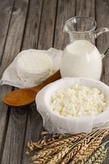 Fresh dairy products. Milk and cottage cheese with wheat on the rustic wooden background. Selective focus.
