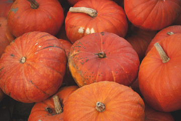 pumpkins