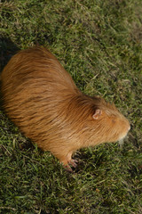 Czech Republic_Prague