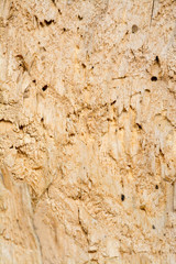 Cracked wood, natural texture