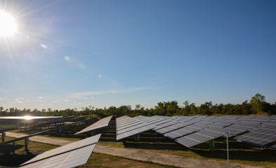 Obraz premium Photovoltaic solar energy panels farm