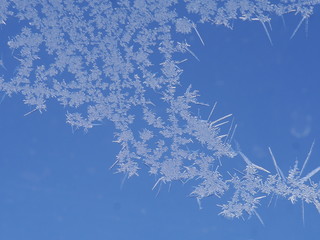 frost ice crystal on window