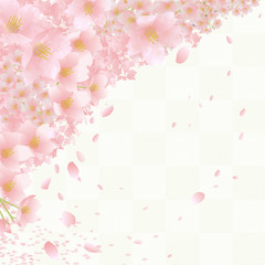 桜　和柄 