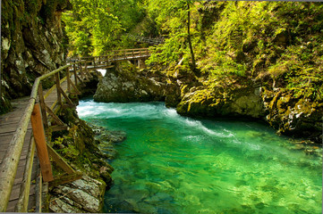 Fototapeta premium Vintgar gorge and wooden path,Bled,Slovenia
