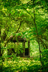 Naklejka premium Gazebo in summer garden park forest
