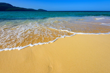 sandy sea beach
