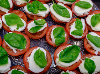 Sliced â€‹â€‹tomato with cheese matsarela with greens on a plate