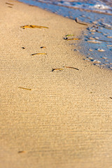 sandy sea beach