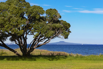 Rangitoto island view from Whangaparaoa peninsula