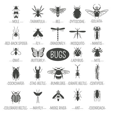 Insects icon flat style. 24 pieces in set. Outline version