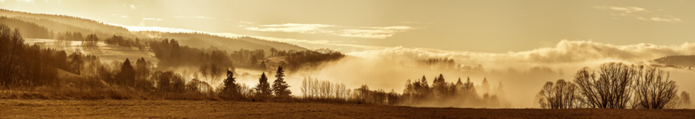 Fototapeta premium morning fog and a forest