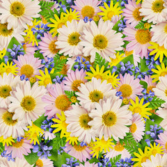 Aster and wild flower seamless pattern for background