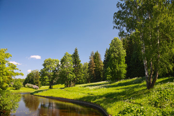 Landscape, Pavlovsk Park