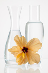 Two vases with clean water and hibiskus flower © Radomir Rezny