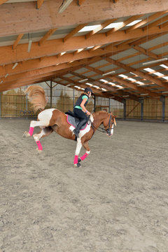 cavali&egrave;re ma&icirc;trisant la ruade