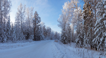панорама заснеженного леса, с дорогой, Россия, Урал 