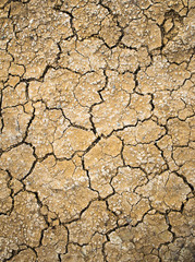 Drought