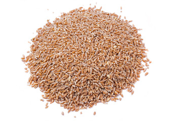 A bunch of spelt on a white background