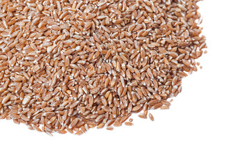 A bunch of spelt on a white background