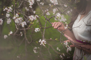 Beautiful female hands and flowering trees, care, manicures