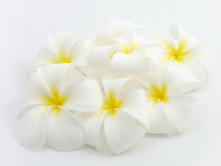 Naklejka na ściany i meble White flower isolate.