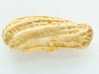macro shot on peanut shell on white background
