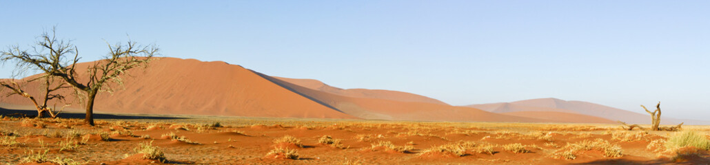 Sand dune Namibia - Dead Valley