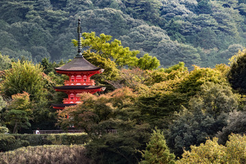 red pagoda in a temple of Kyoto with green wood around