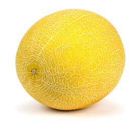 melon
