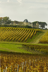 Bordeaux Chateau d Yquem