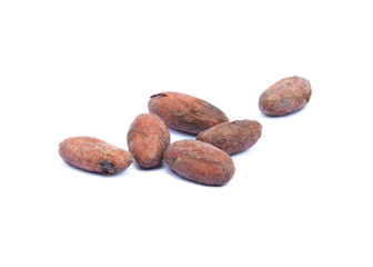isolated cocoa beans