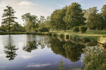 Countryside park pond