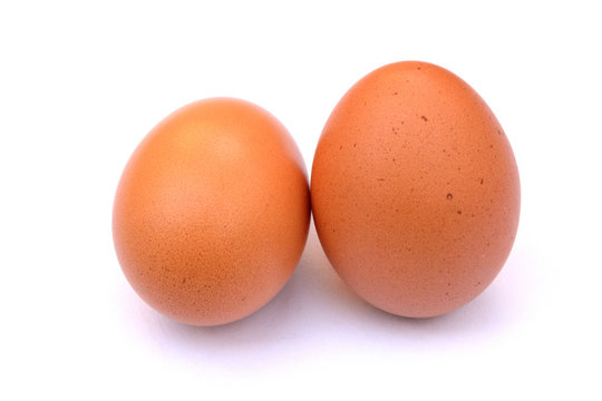 standing eggs on an isolated background