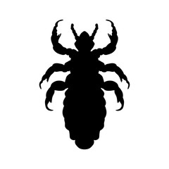 Silhouette of  head human louse. Pediculus humanus capitis. louse  silhouette isolated on white background. louse. Vector