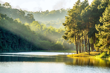 Fototapety  pang ung , reflection of pine tree in a lake , meahongson , Thai