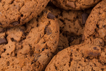 Chocolate chip cookies isolated on white