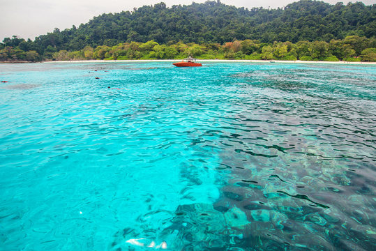 Fototapeta clear water beautiful sea like a heaven at Similan island