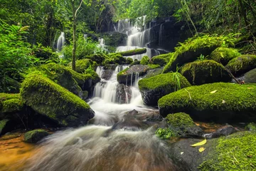 Cercles muraux Cascades belle cascade dans la forêt verte dans la jungle à phu tub berk mo